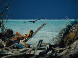 Reclining on driftwood, a sunbather blends in with her surroundings Lámina fotográfica por Jodi Cobb