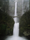 Multnomah Falls in Oregon Photographie par Paul Nicklen
