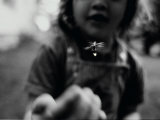 A Young Girl Reaches Out for a Firefly Photographic Print
