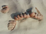 Two Pairs of Feet Push up Through the Sand Photographie par Jodi Cobb