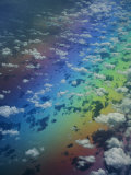 Scattered Puffy Clouds Cast Their Shadow on the Pacific Ocean Below Photographic Print by Paul Chesley
