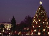 Night View of the Lighted Tree in Front of the White House Photographic Print by Kenneth Garrett