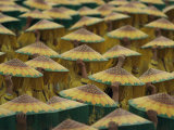 Les participants à une parade se couvrent la tête de chapeaux de coolies peints pour ressembler à des tournesols Photographie par Paul Chesley