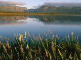 Grasses Grow Along the Edge of a Lake Photographic Print by Michael S. Lewis