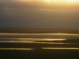 Marsh Ponds at Twilight Photographic Print by Norbert Rosing
