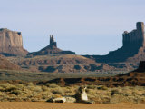 A Mountain Lion Rests in an Arid Landscape Photographic Print by Norbert Rosing