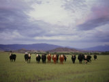 Farm scene west of Chiloguin, Oregon, looking toward Mount McLoughlin Lámina fotográfica por Phil Schermeister Farm scene west of Chiloguin, Oregon, looking toward Mount McLoughlin Lámina fotográfica por Phil Schermeister
