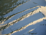 The First Autumn Snowfall Blankets the Mountains Near Aspen Photographie par Paul Chesley