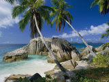 A Beach and Palm Trees on La Digue Island Photographie par Bill Curtsinger