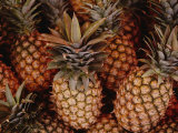 A Group of Pineapples at an Open-Air Fruit Market Photographic Print by Todd Gipstein