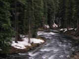 A River in Oregon Photographic Print by Paul Nicklen