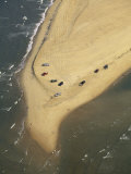 Aerial View of Cars on the Coast of the Outer Banks Fotografie-Druck von Steve Winter