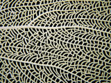 A Close View of a Sea Fan Photographic Print by Heather Perry