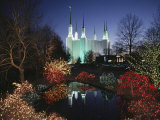 Colored Lights Decorate Bushes on the Mormon Temple Grounds Photographie par Karen Kasmauski