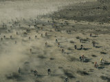 Aerial View of Hundreds of Motorcyclists Racing Across the Mojave Desert Photographic Print by Walter Meayers Edwards