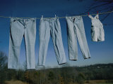 Four Pairs of Jeans Hanging on a Clothesline Photographic Print by Brian Gordon Green