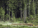 A Truck Transporting Freshly Cut Logs out of the Forest Photographie par Kenneth Garrett