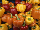 Red, Orange and Yellow Bell Peppers on Display in a Venice Market Photographic Print by Todd Gipstein