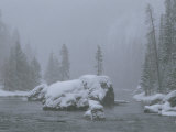 Snow Storm, Firehole River Photographic Print by Raymond Gehman