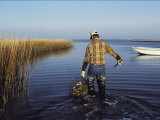 A Clam Digger Carries His Haul Through Chincoteague Island Marshes Fotografie-Druck von Medford Taylor