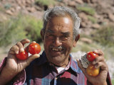 A Man Holds Ripe Tomatoes in His Hands Photographic Print by Ed George
