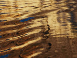 Reflections Glisten in Flowing Water Photographic Print by Nicole Duplaix