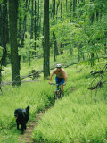 Mountain Biker and Dog on Single Track Trail Through Ferns Lámina fotográfica por Skip Brown Mountain Biker and Dog on Single Track Trail Through Ferns Lámina fotográfica por Skip Brown