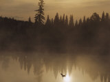 A Bird Flies Low over Fog-Shrouded Lake Superior Photographie par Medford Taylor