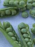 A Close View of Peas in Their Pods Photographic Print by Tom Murphy