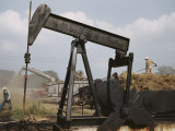 Des moissonneurs fauchent les champs près d'un puits de pétrole en fonction Photographie par B. Anthony Stewart