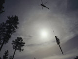 A Helicopter Lifts Cut Timber from the Forest; Helicopter Logging is Said to be Easier on the Fores Lámina fotográfica por Joel Sartore
