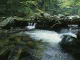 A Babbling Brook in the New Hampshire Woods Photographie par Heather Perry