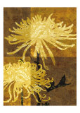 Golden Mums II Láminas por Keith Mallett Golden Mums II Láminas por Keith Mallett