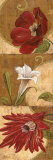 Floral Breeze II Poster by Maria Donovan