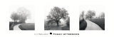 Foggy Afternoon Prints by Ily Szilagyi