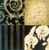 Orchid Sketch II Posters by Elizabeth Jardine