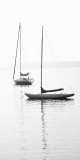 Still Waters II Affiche par Boyce Watt