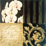 Orchid Sketch I Prints by Elizabeth Jardine