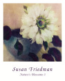 Nature's Blossoms I Prints by Susan Friedman