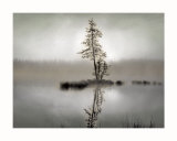Sunrise Reflection Poster af Dennis Frates