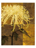 Golden Mums I Art by Keith Mallett