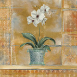 Orchid II Art by Richard Henson