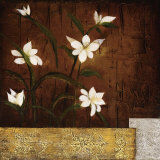 Orchid Melody II Prints by Teo Vineli