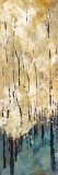 Nature's Abundance I Prints by Luis Solis