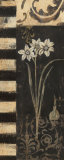 Black and White Paper Whites Prints by Jo Moulton
