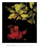 Night Bloom I Posters by Jeanne Michel