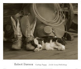 Cowboy Puppy Posters par Robert Dawson