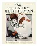 Dangerous Play, c.1916 Prints by Charles Livingston Bull