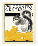 Squirrel with Corn, c.1922 Art by Charles Livingston Bull