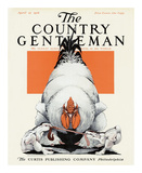 Chicks Fighting over a Worm, c.1916 Affiches par Charles Livingston Bull